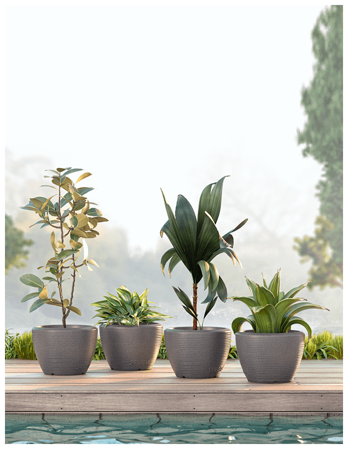 Piatto Small Planter