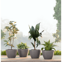 Piatto Small Planter Combo (pack of 4)