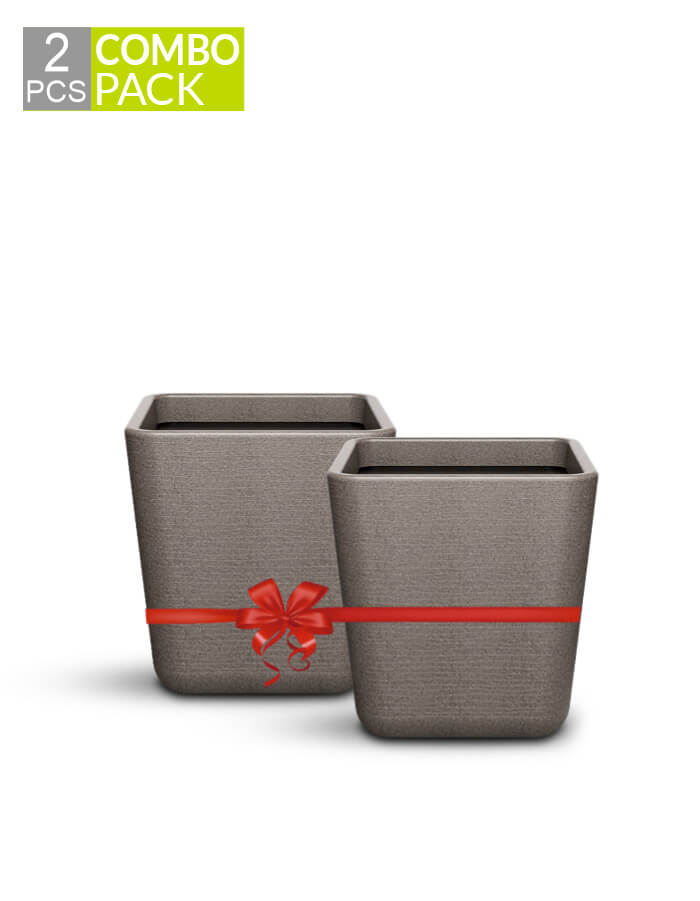 STELLA  - Small Planter Combo (pack of 2)