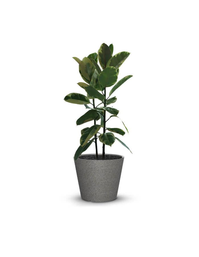 EVA - Medium Planter