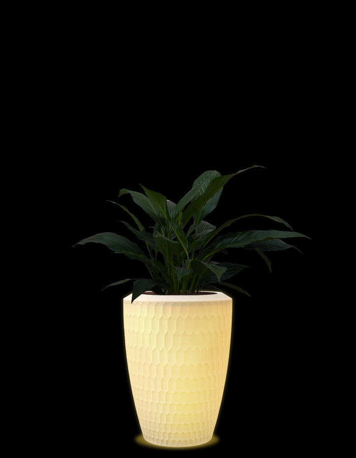 Chiara Medium LED Planter