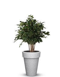 Elena LED Planter