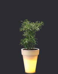 Elena LED Planter