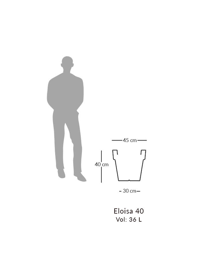 Eloisa