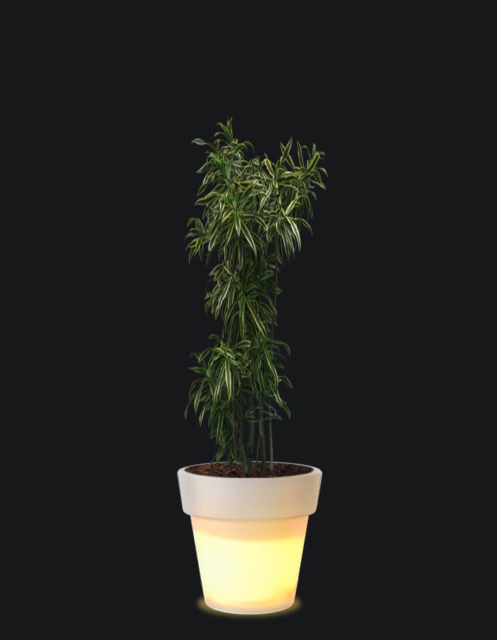 Eloisa LED Planter