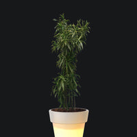 Eloisa Small Planter LED