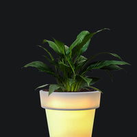 Eloisa Medium LED Planter