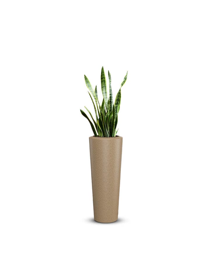 Gioia Large Planter