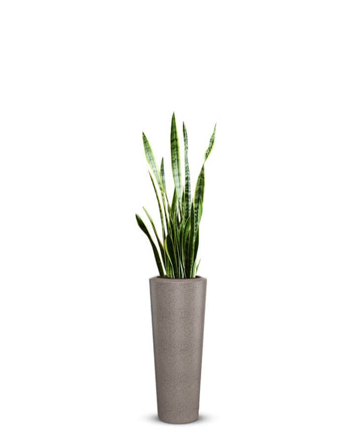 Gioia Large Planter
