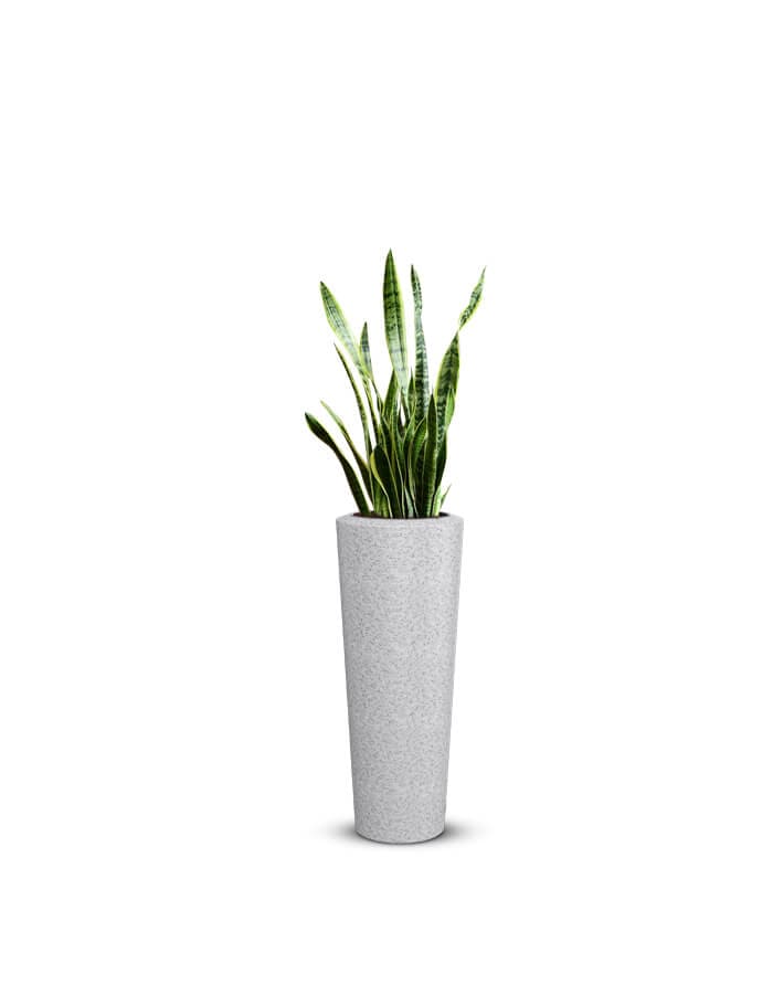 Gioia Large Planter