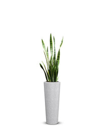 Gioia Large Planter