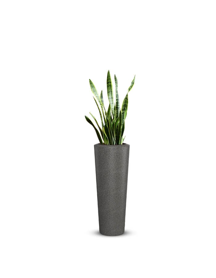 Gioia Large Planter