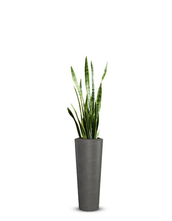 Gioia Large Planter