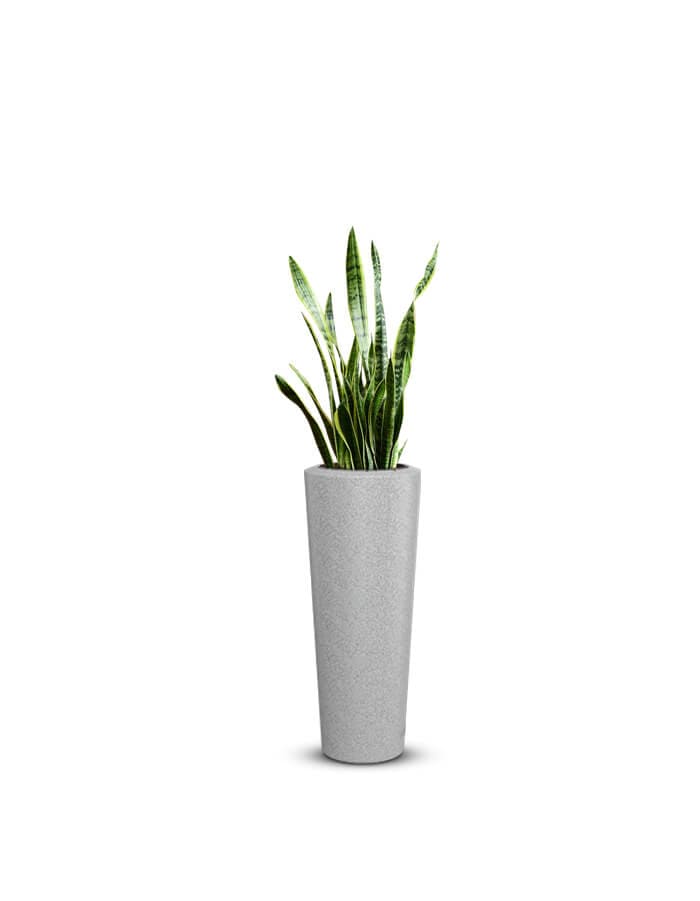 Gioia Large Planter