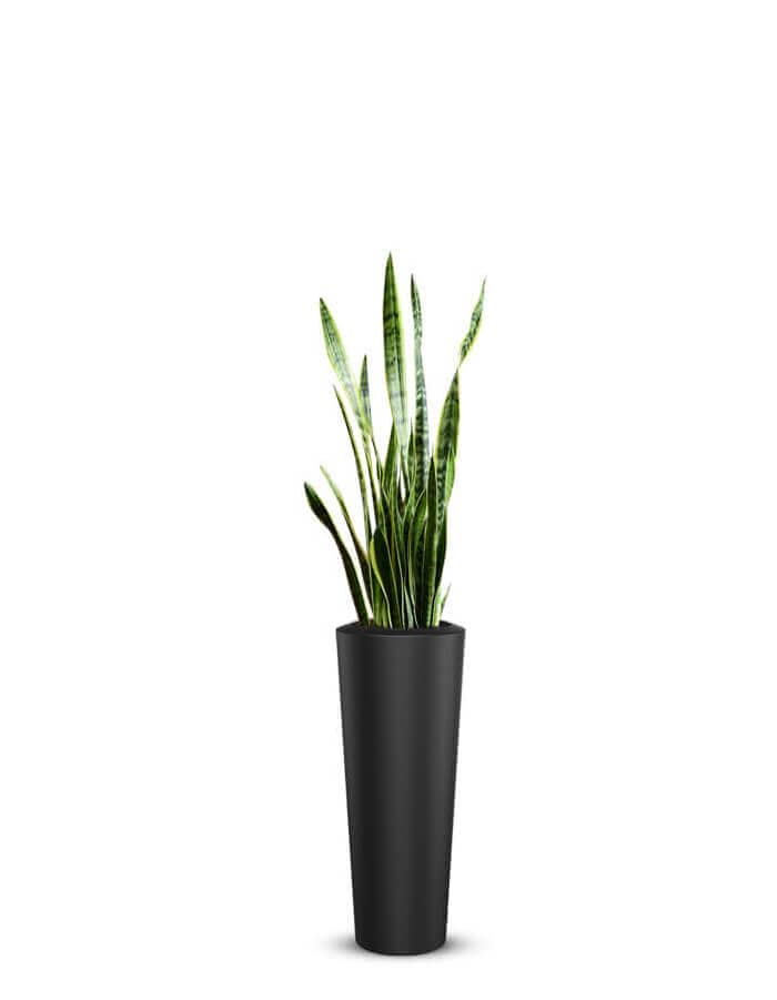 Gioia Large Planter