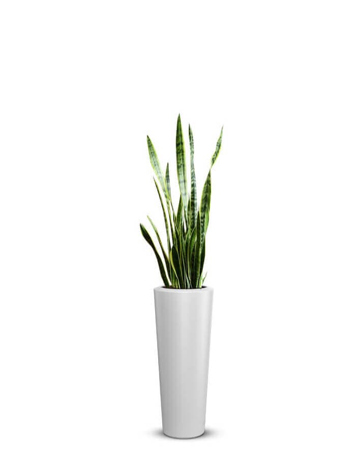 Gioia LED Large Planter