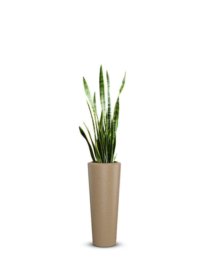 Gioia LED Large Planter