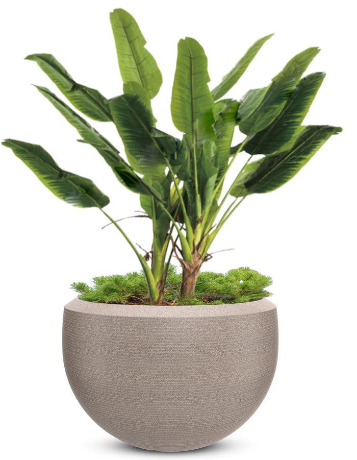 Grande Extra Large Planter