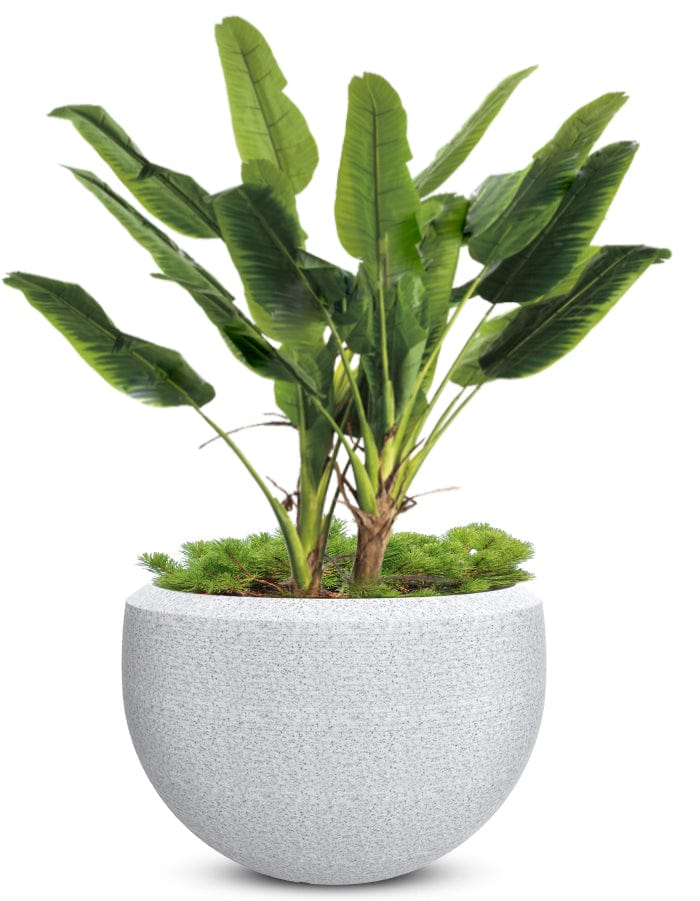 Grande Extra Large Planter