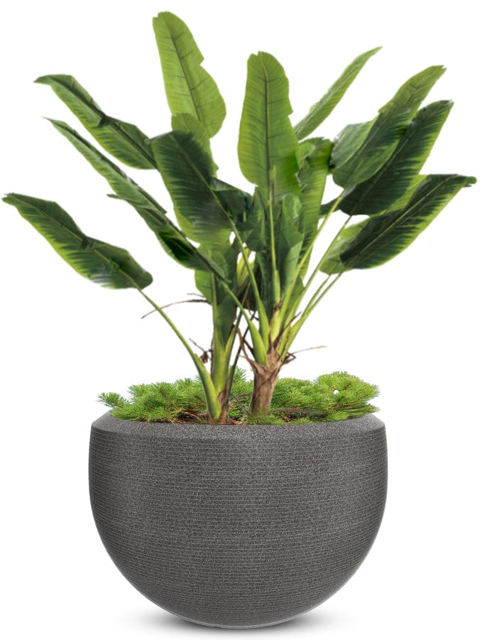 Grande Extra Large Planter