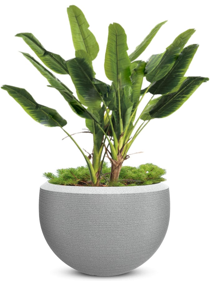 Grande Extra Large Planter