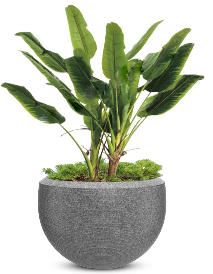 Grande Extra Large Planter