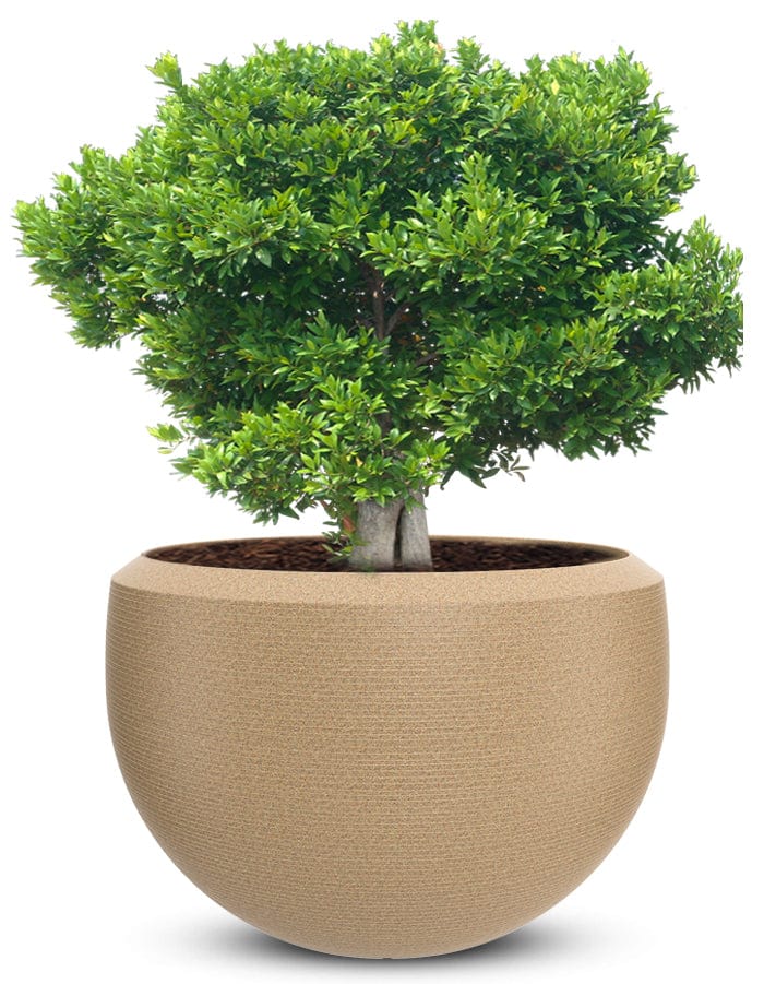 Grande Extra Large Planter