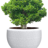 Grande Extra Large Planter