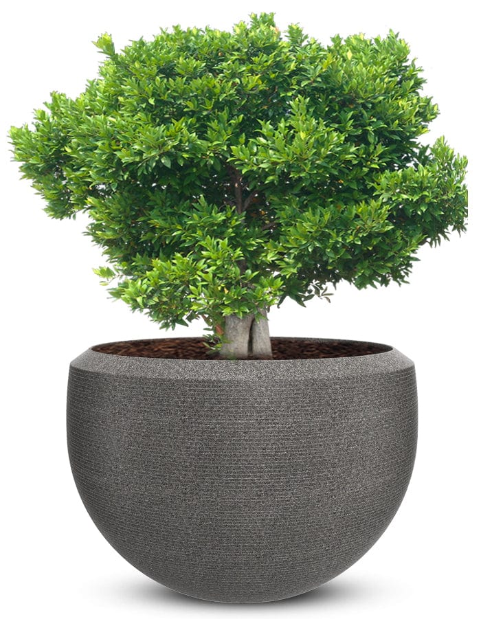 Grande Extra Large Planter