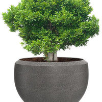 Grande Extra Large Planter