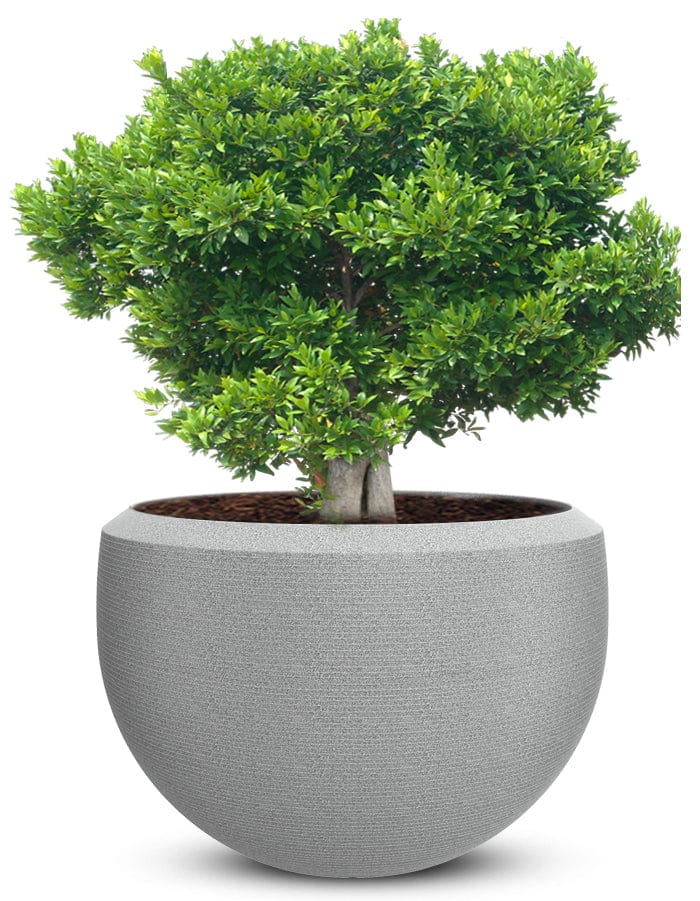 Grande Extra Large Planter