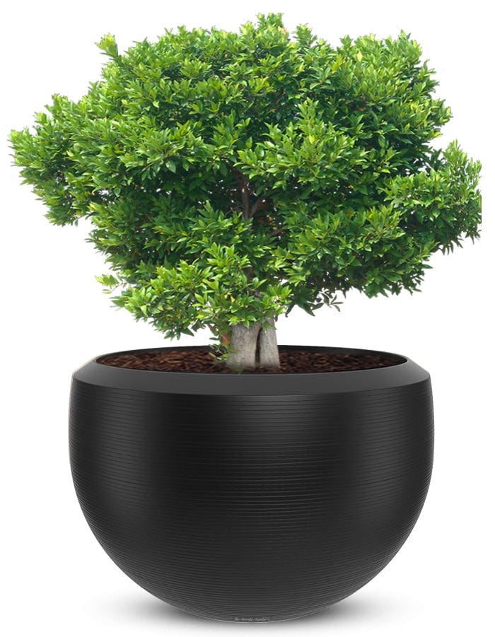 Grande Extra Large Planter