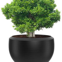 Grande Extra Large Planter