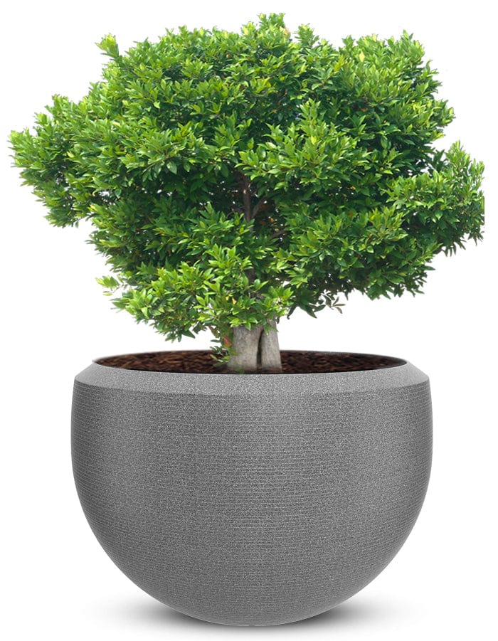 Grande Extra Large Planter