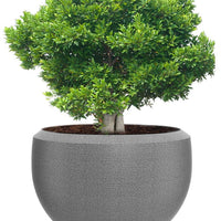 Grande Extra Large Planter