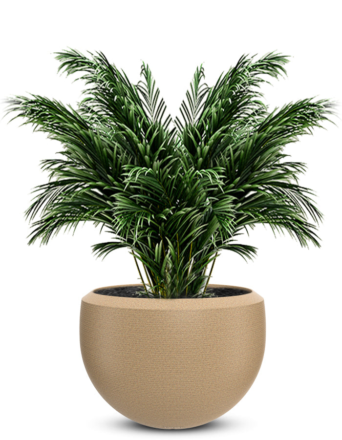 Grande Large Planter