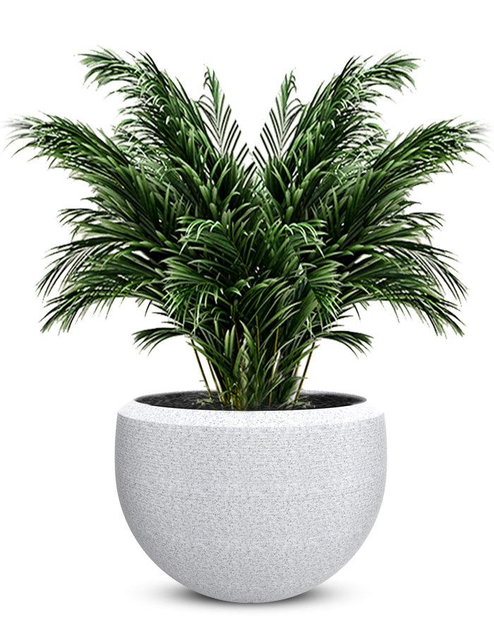 Grande Large Planter