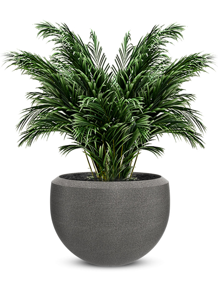 Grande Large Planter