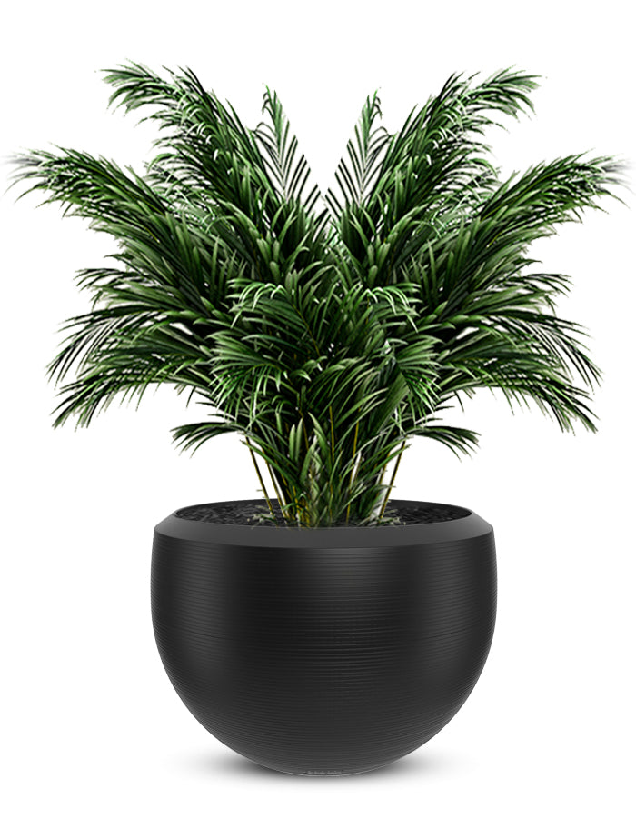 Grande Large Planter