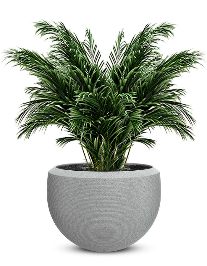 Grande Large Planter