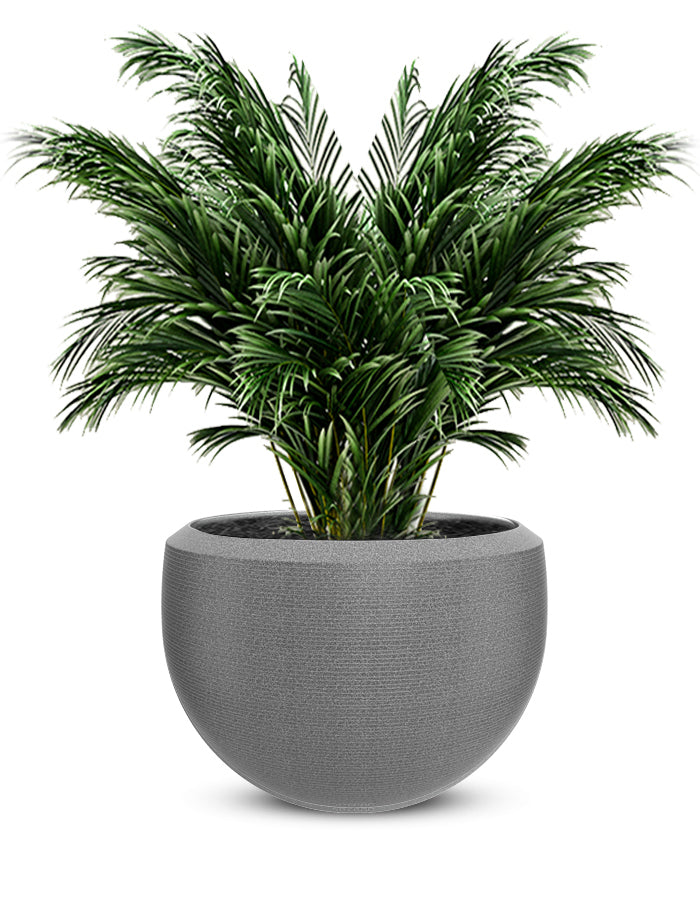 Grande Large Planter