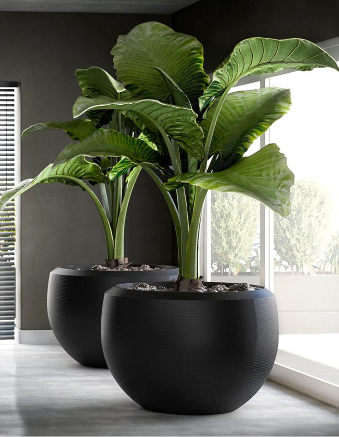 Grande Extra Large Planter