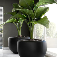 Grande Extra Large Planter