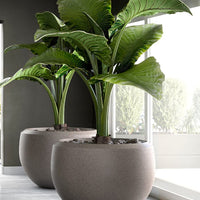 Grande Extra Large Planter