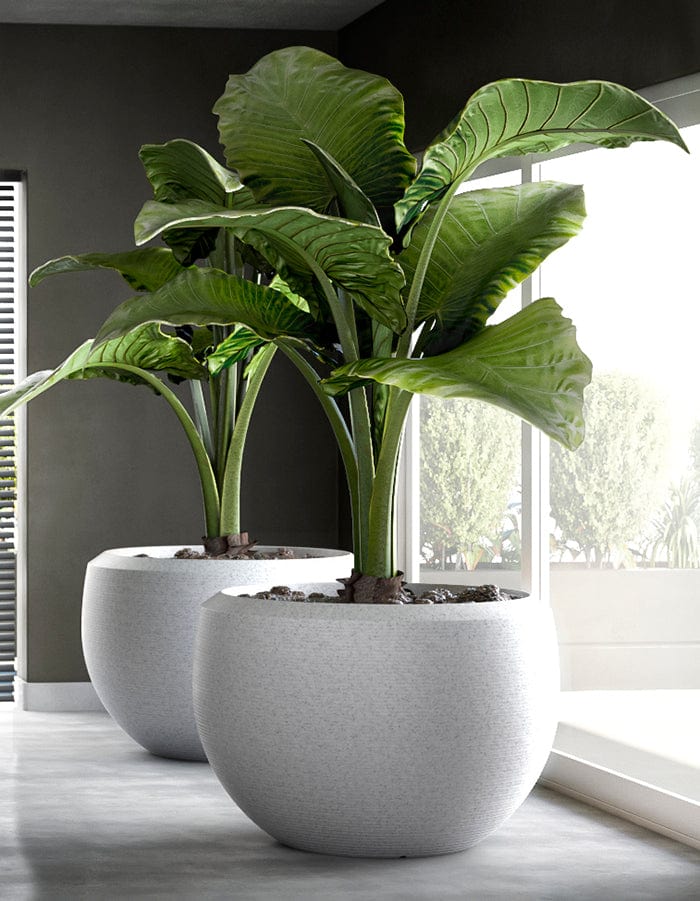 Grande Extra Large Planter