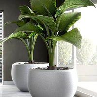 Grande Extra Large Planter