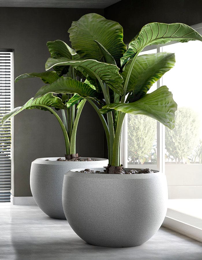 Grande Extra Large Planter