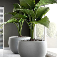 Grande Extra Large Planter