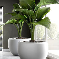 Grande Extra Large Planter