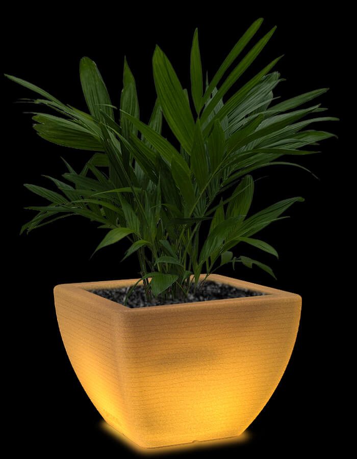 Orabella LED Planter